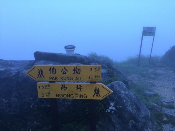 英语单词如何快速记忆-专业问答交流平台